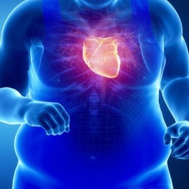 Tratamento para Obesidade em Cachoeirinha